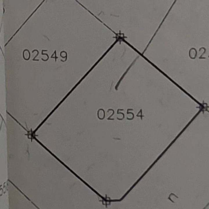 422307010_1573269713440365_2193845961284270727_n