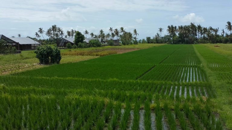 429578700_7793384537360697_5709436008331305195_n