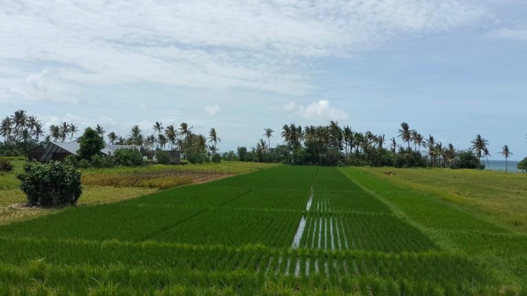 429589306_7793384544027363_1821700224780854577_n