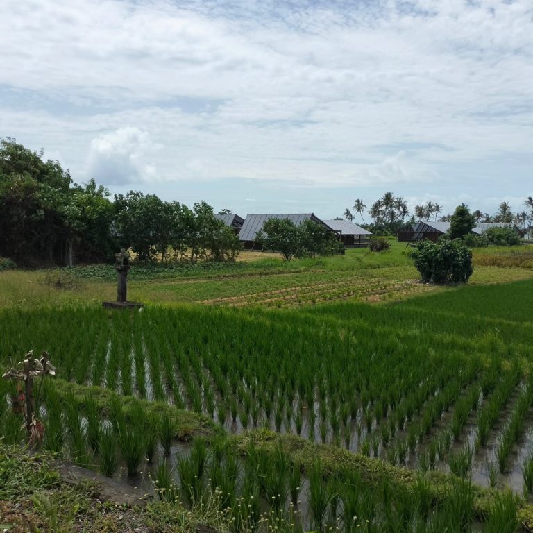 431035467_7793384550694029_1964409061799972721_n