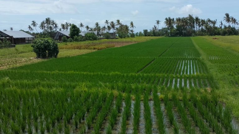 431332713_7793384547360696_8408812471260419280_n