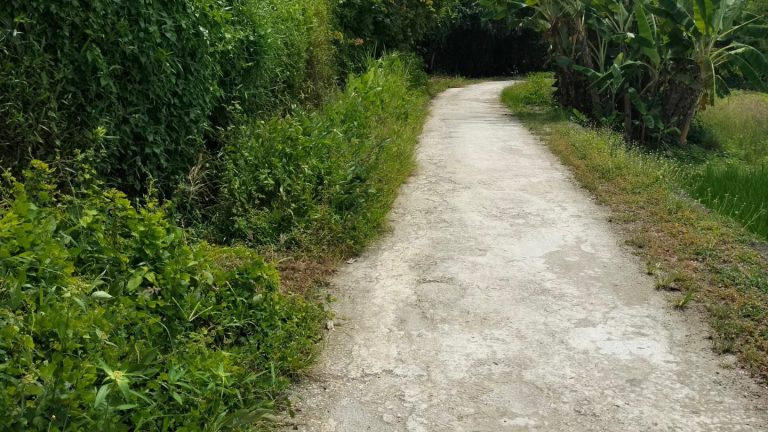 431339088_7793384540694030_2054883362530618114_n