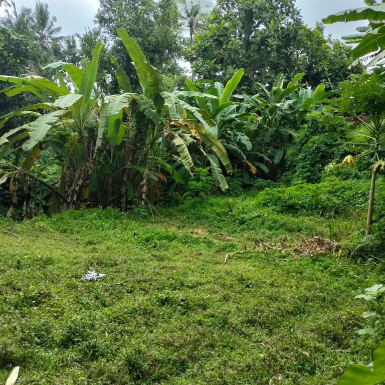 437714097_1622512675182735_2389388336029539972_n