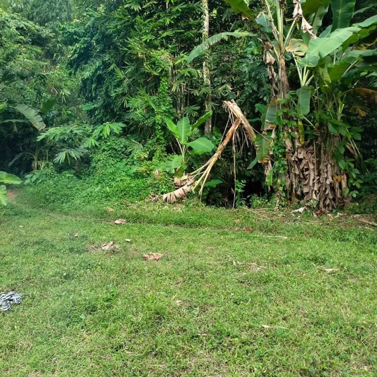 437738079_1622512765182726_1782164723531578604_n