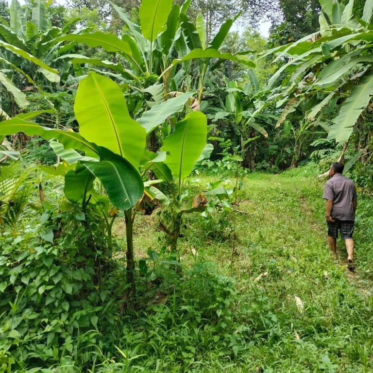 437865638_1622512518516084_2846314331539559997_n