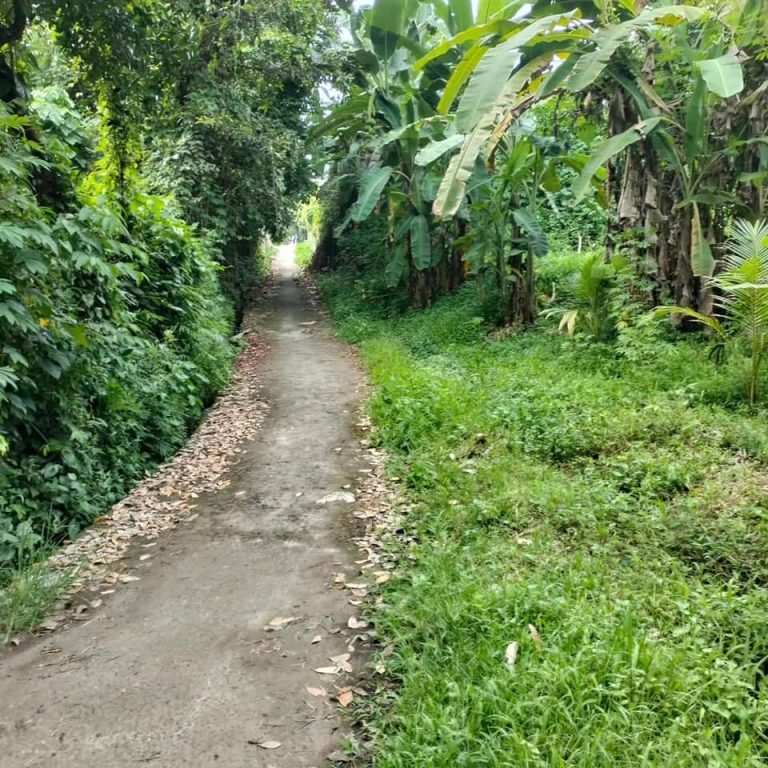 437875167_1622513055182697_2515757900334487598_n