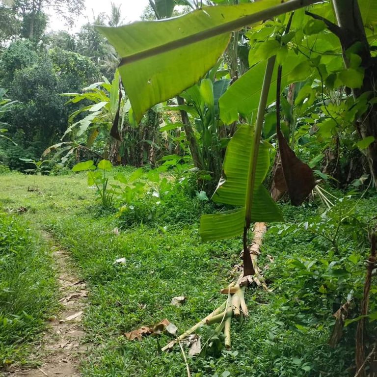 437953713_1622512971849372_4809126358993640049_n