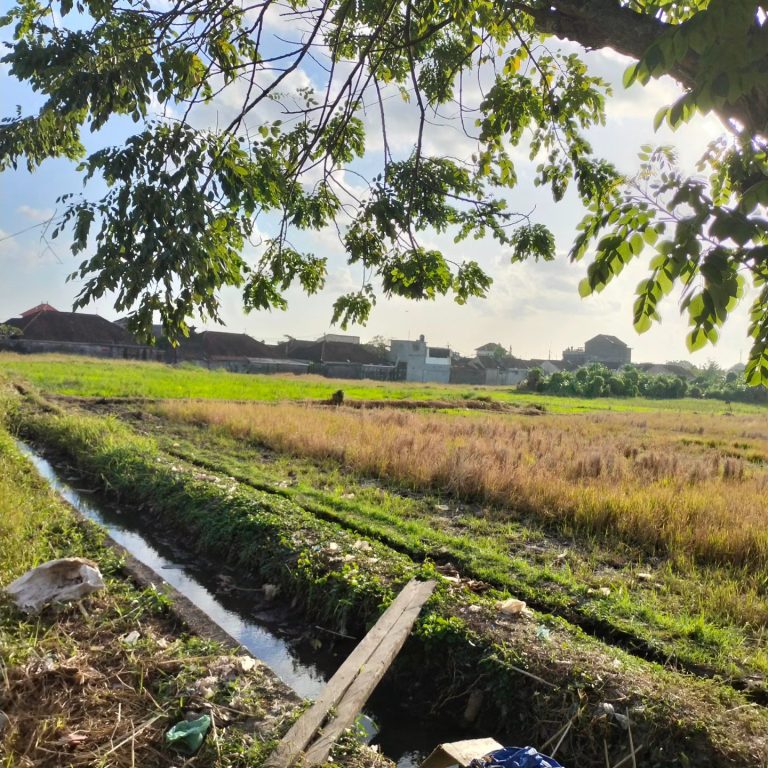 438092928_1642804143153588_5266048473727228792_n