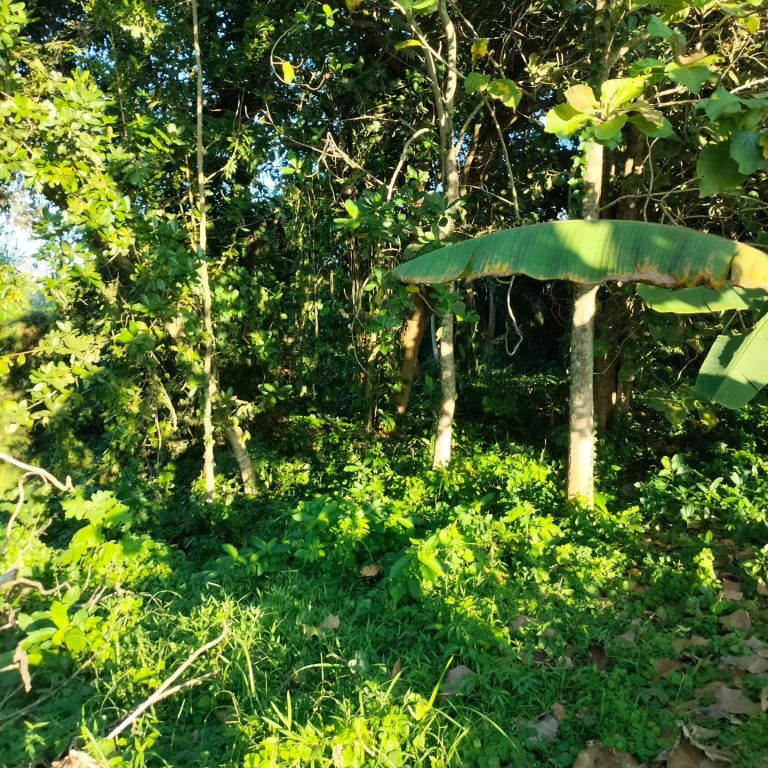 441184146_8076591099040038_1163048236805460170_n