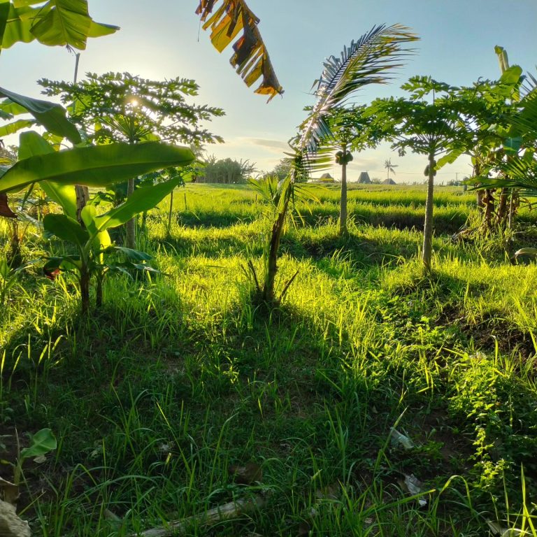 441322624_8076590875706727_2604390742314372174_n