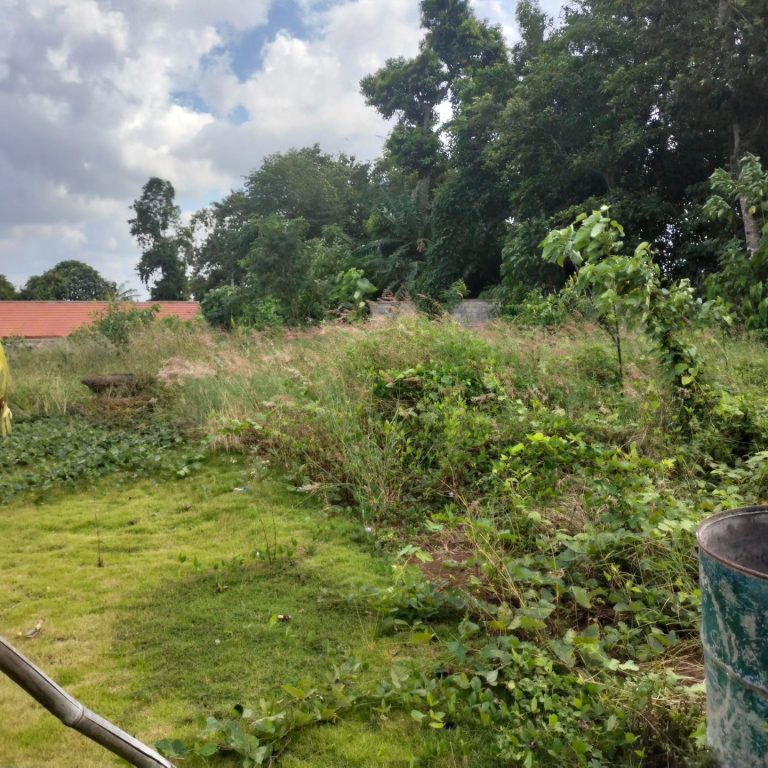 441353606_1641891473244855_118378905324386677_n