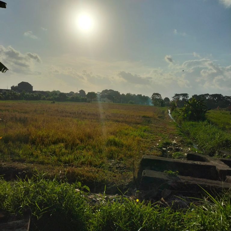 441518037_1642804146486921_7963038209479886916_n