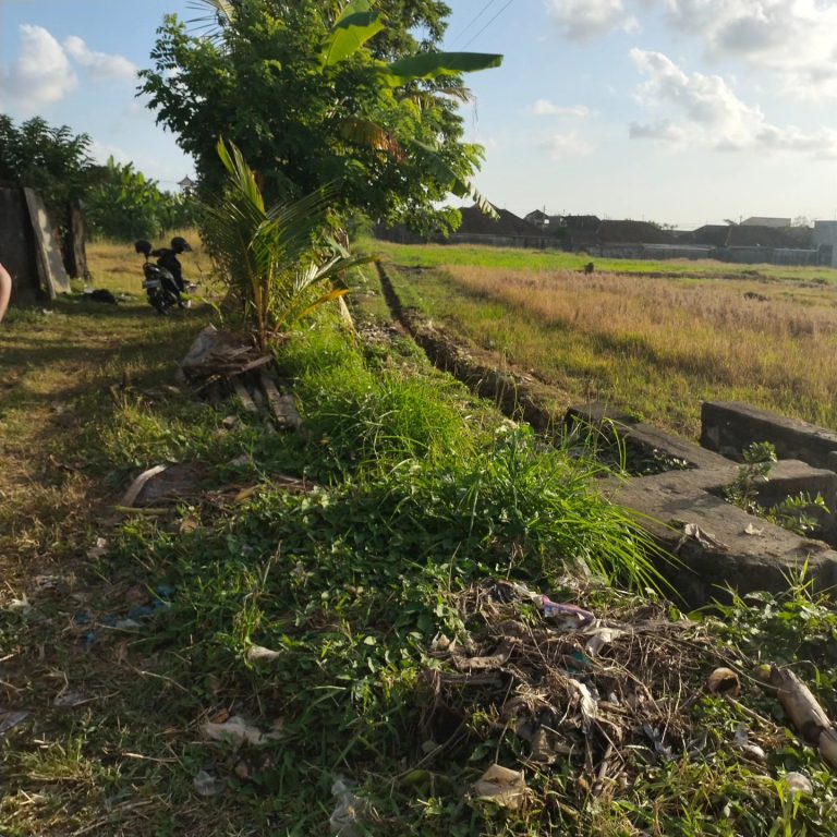 441522801_1642804139820255_6789629283372806309_n