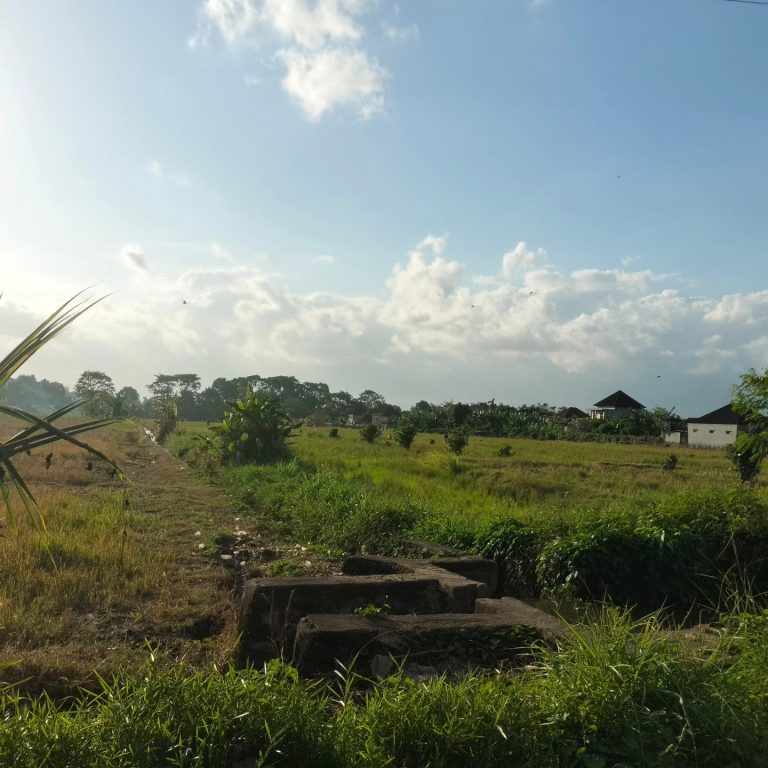 442472222_1642804156486920_6144396618224930776_n