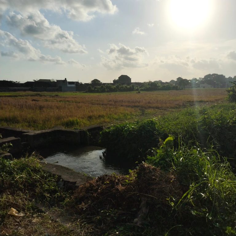 442473747_1642804136486922_3177794010349168678_n