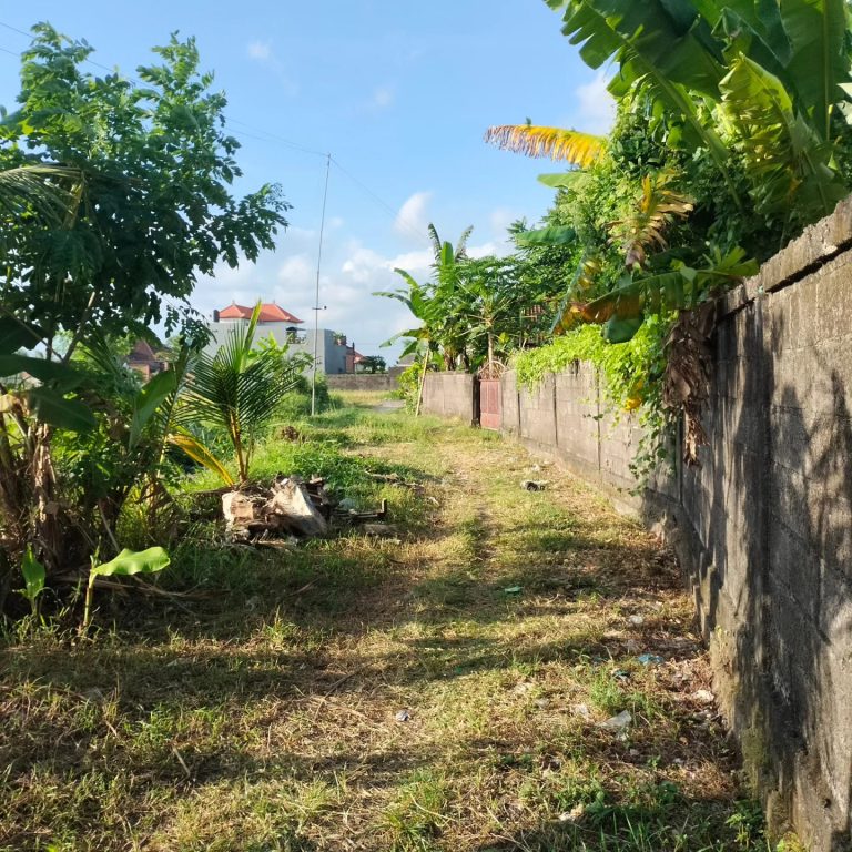 442479737_1642804163153586_3243666908511356192_n