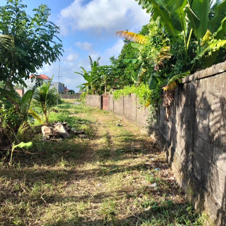 442480937_1642804149820254_4434900756271454121_n