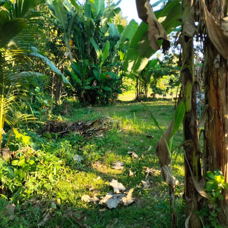 442487632_8076590682373413_4548177062309781529_n