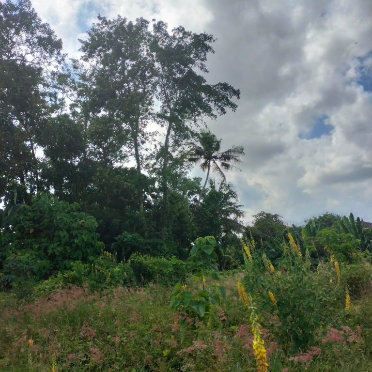 442494745_1641891453244857_7838466336349789418_n