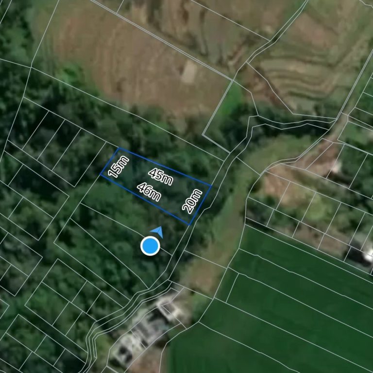 442497210_1641891483244854_5073115279791939352_n