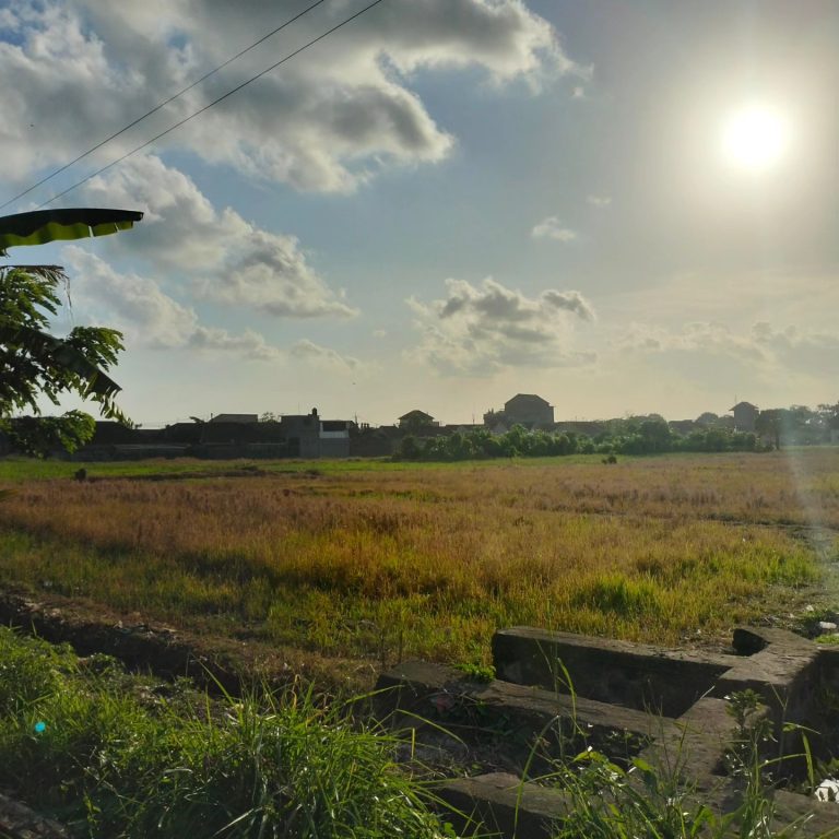 444483181_1642804153153587_4851679005918691182_n