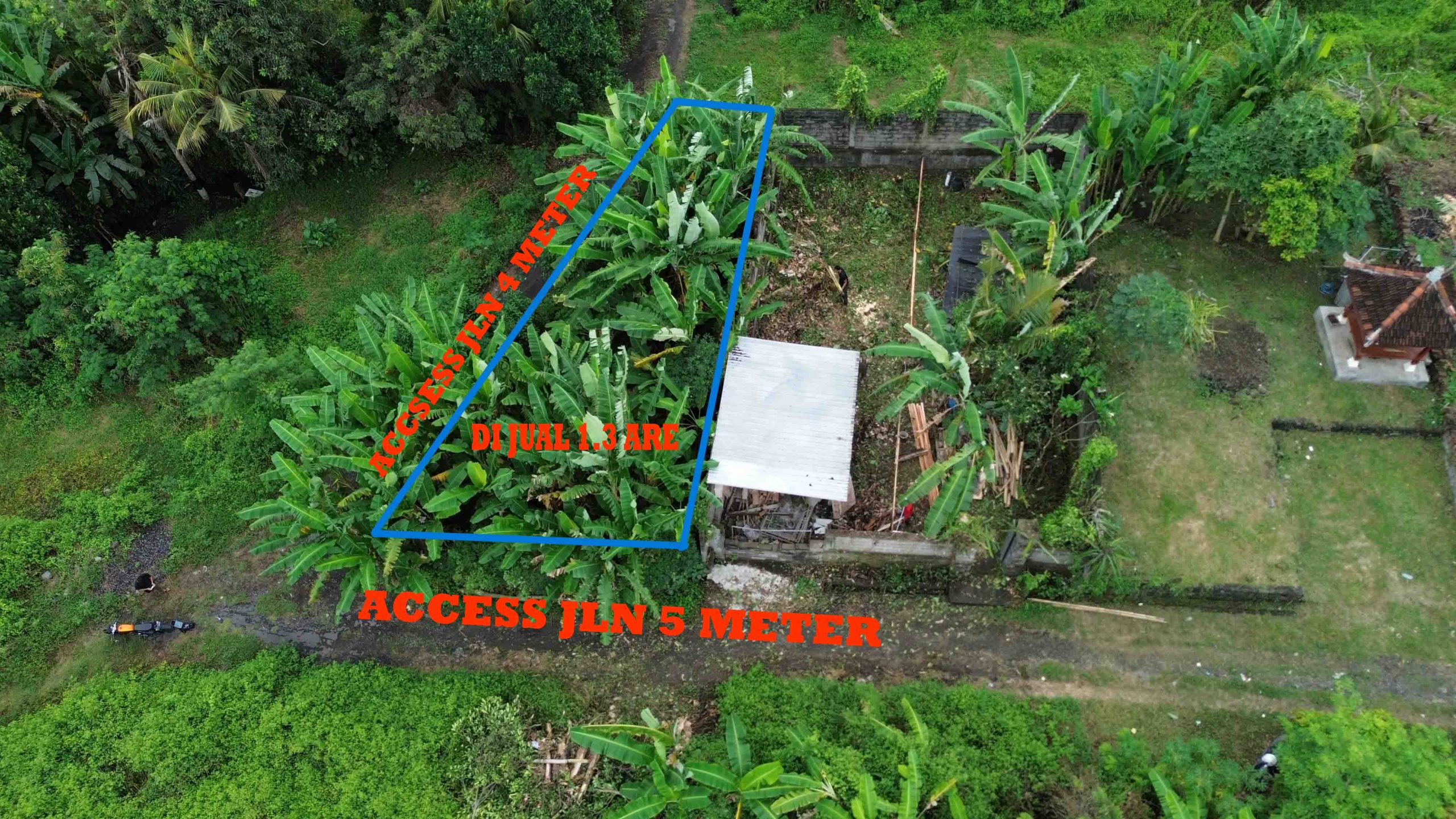 DCIM100MEDIADJI_0081.JPG