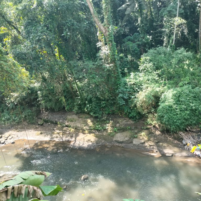 WhatsApp Image 2024-05-27 at 07.32.44_446e1805