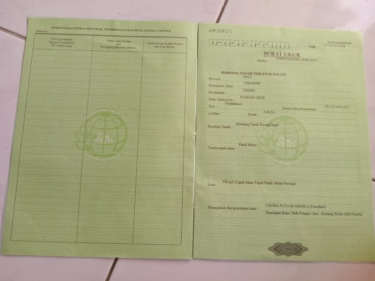 WhatsApp Image 2024-06-23 at 16.54.13_0d8b0d3d