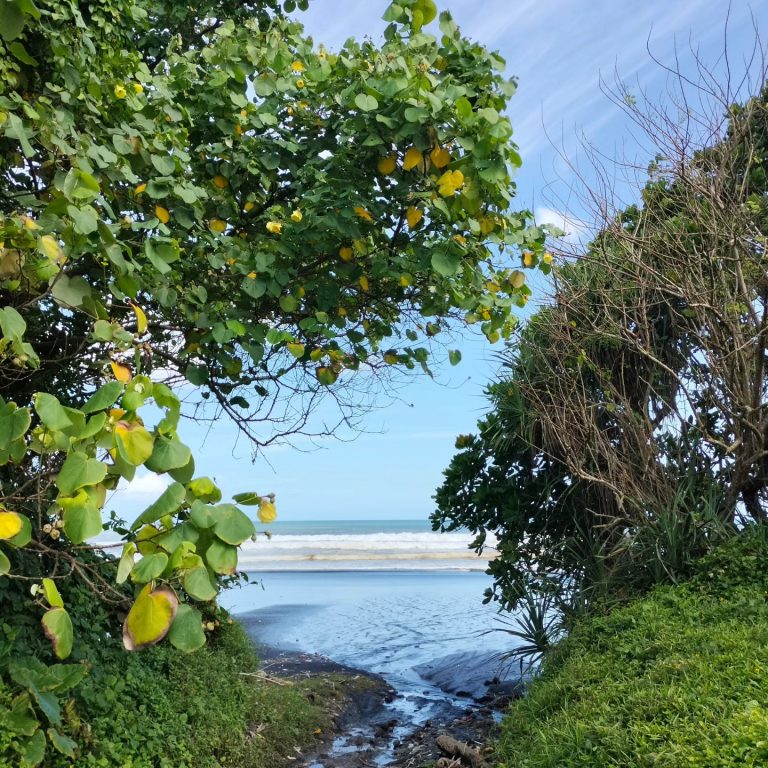 446679940_1651203018980367_5717165107312194655_n