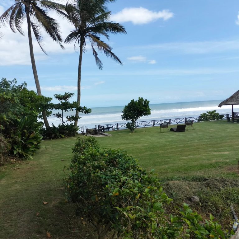 446805033_1651196148981054_6534763268630418653_n