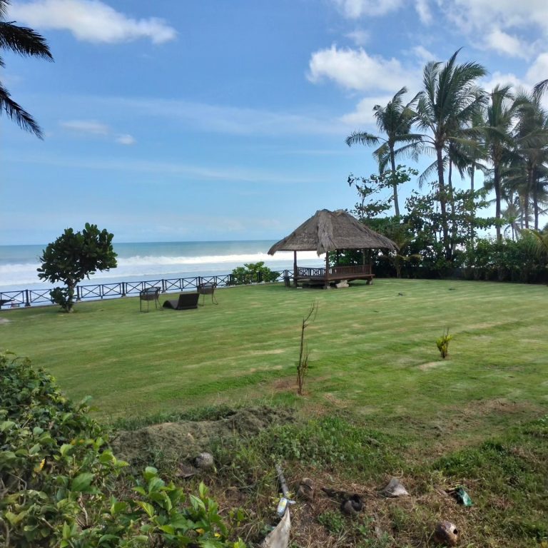 446805909_1651196098981059_7491627814291712959_n