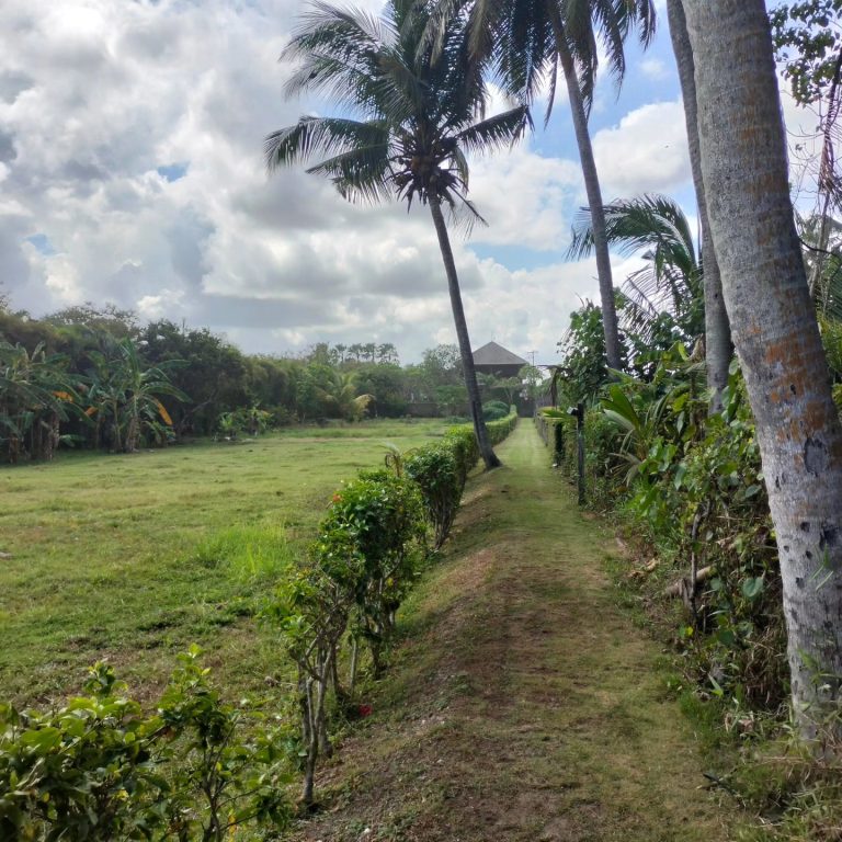 446881129_1651195985647737_5054126859424758787_n