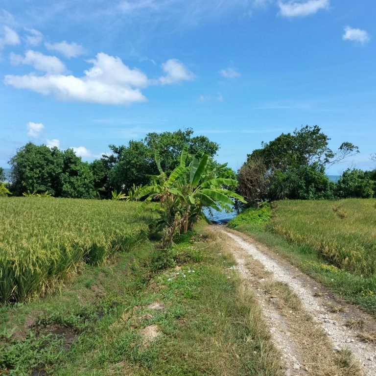 446889377_1651203048980364_8538839570853635774_n