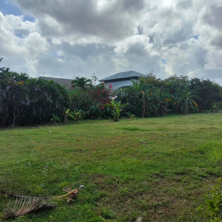 447056509_1651196035647732_4804030185378644295_n