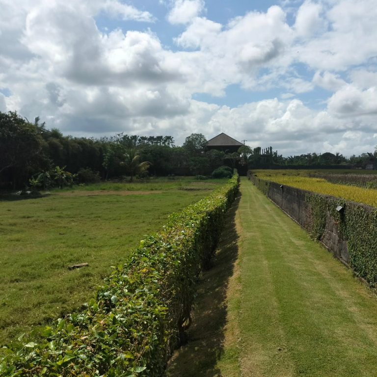 447067534_1651196062314396_5154049223104293882_n