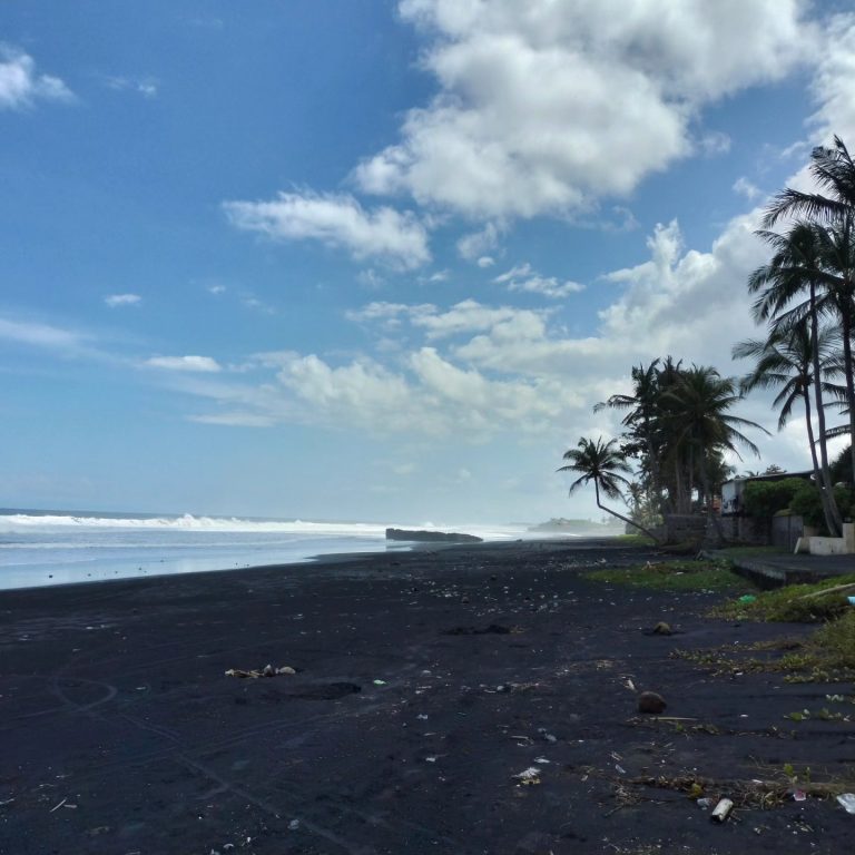 447193479_1651203022313700_6931418709393454427_n