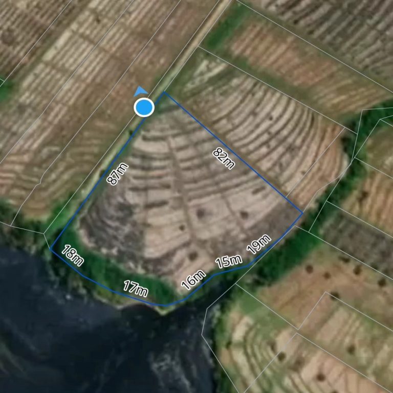 447203207_1651203072313695_3853043908800773616_n