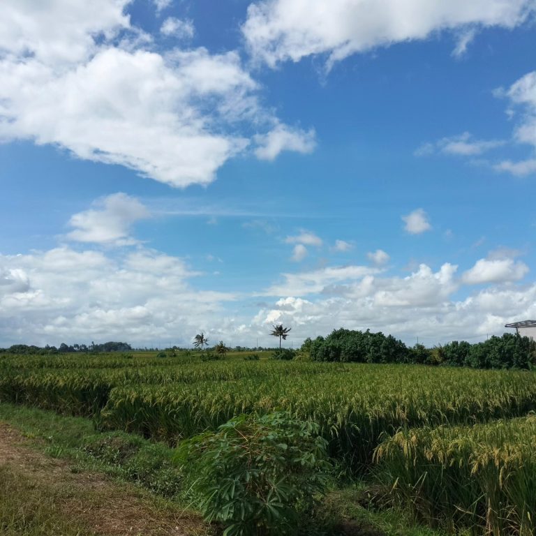 447277269_1651203068980362_5619556698593114368_n