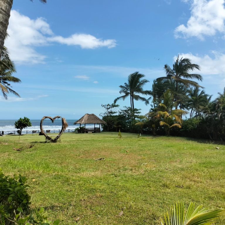 447287517_1651195955647740_1328048949027461635_n