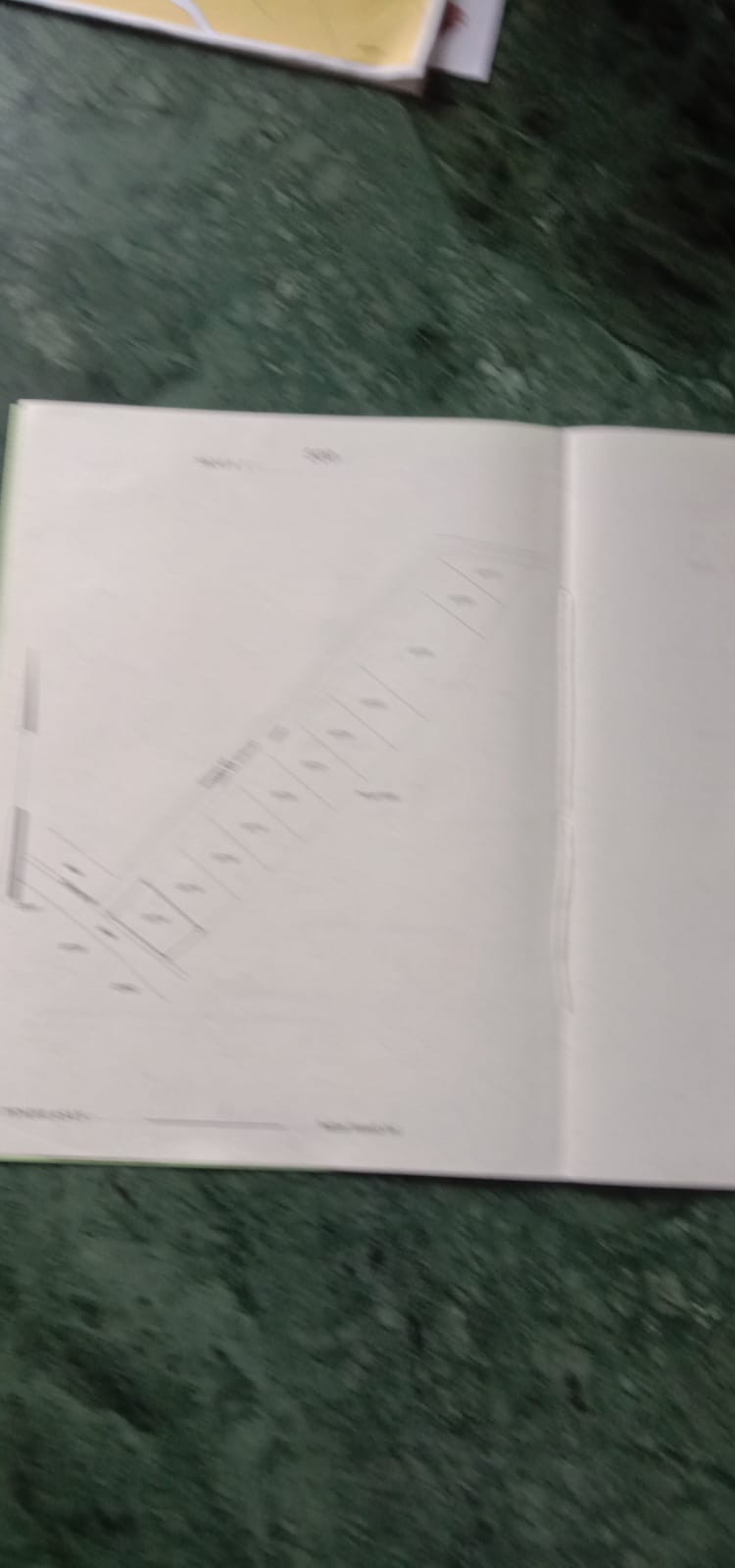 WhatsApp Image 2024-06-29 at 16.37.57_94d1475b