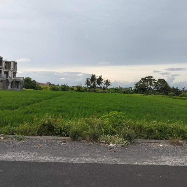 438906839_1622494595184543_1453725393374477484_n