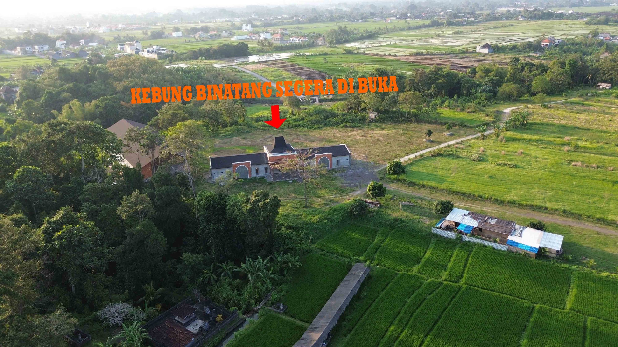 DCIM100MEDIADJI_0214.JPG