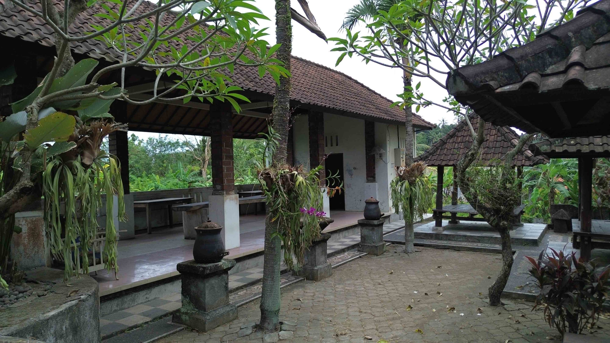DCIM100MEDIADJI_0271.JPG