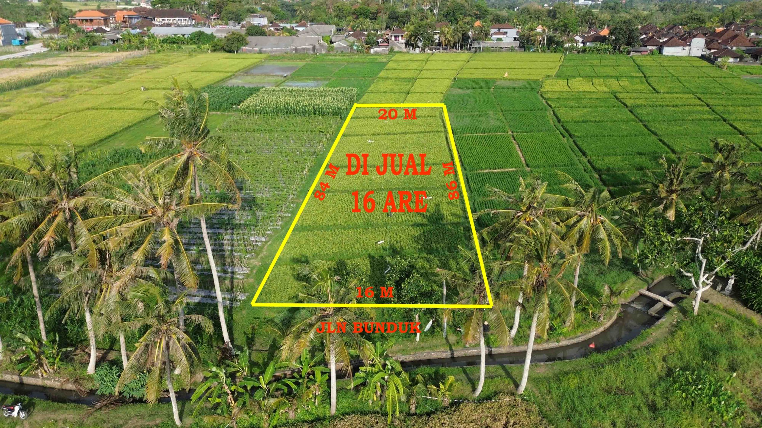DCIM100MEDIADJI_0731.JPG