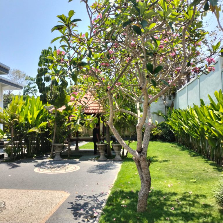 WhatsApp Image 2024-10-13 at 12.07.09_b8c1b0d1