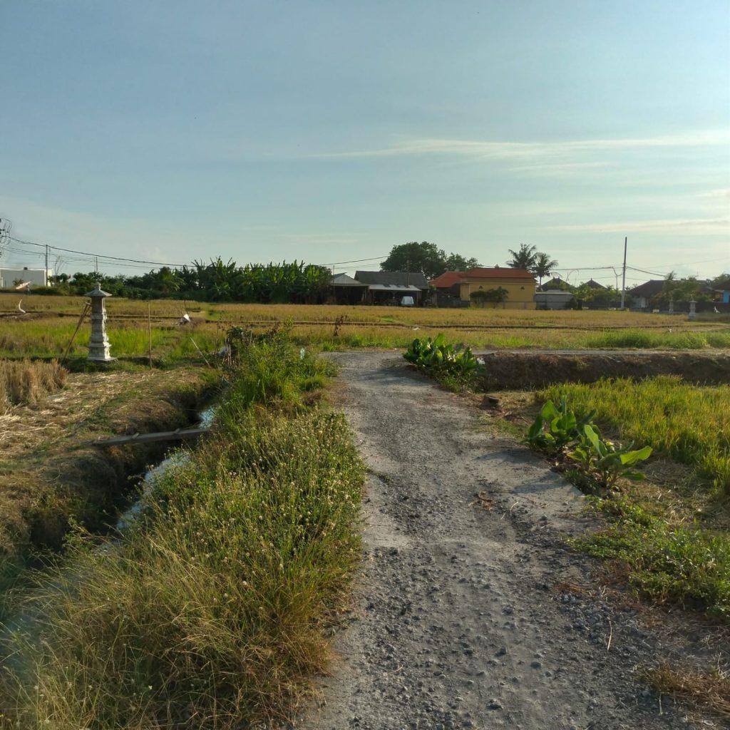 WhatsApp Image 2024-11-02 at 09.13.52_38c52941