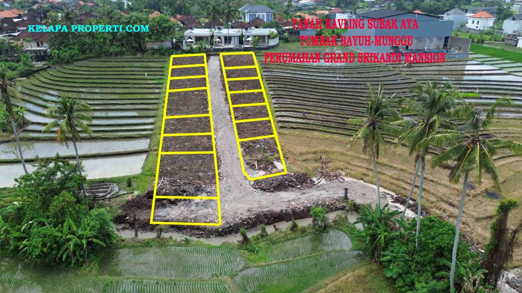DCIM100MEDIADJI_0930.JPG