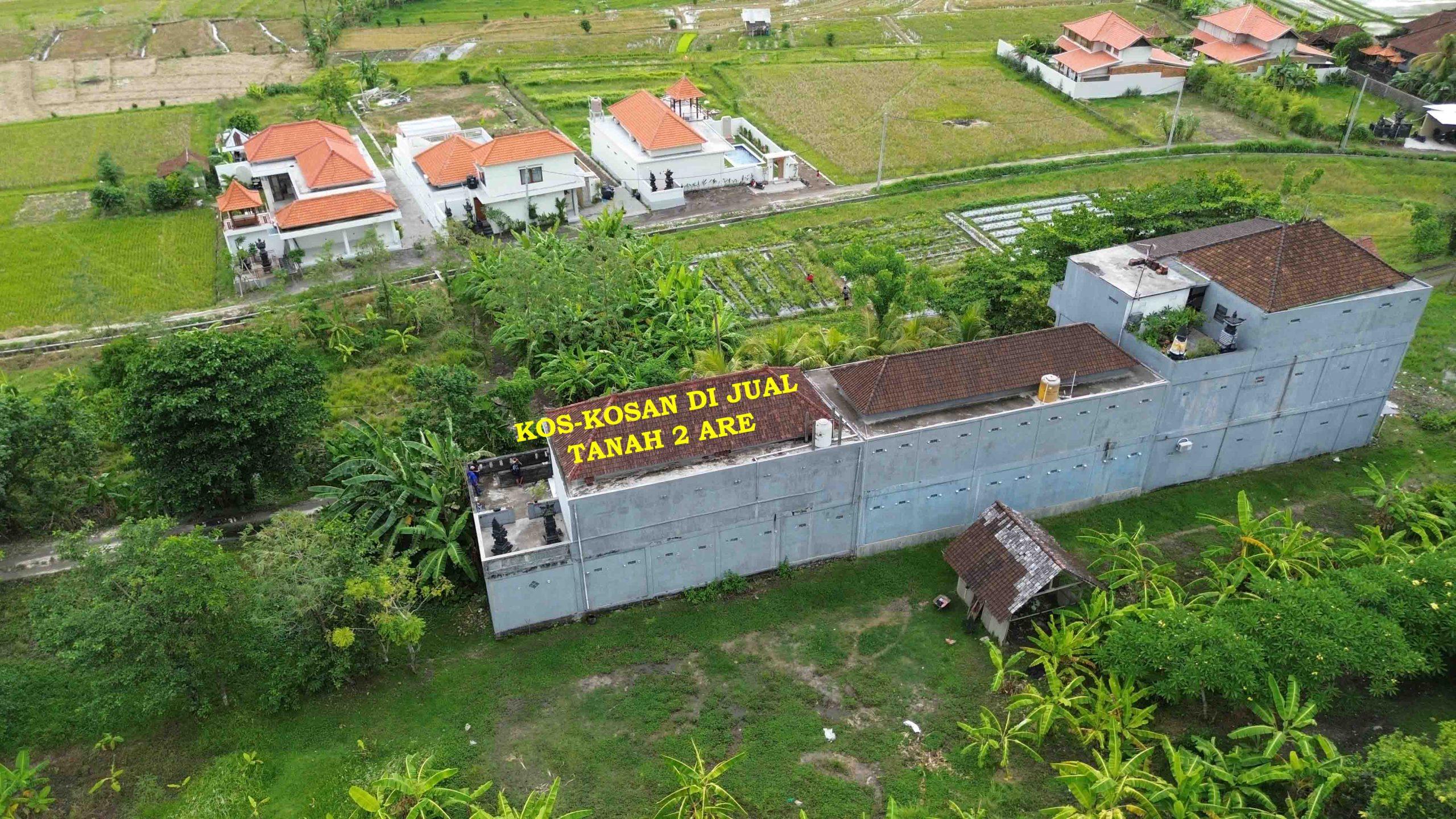 DCIM101MEDIADJI_0071.JPG