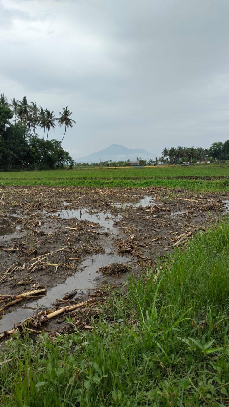 WhatsApp Image 2024-12-10 at 00.07.39_d29ed9e6