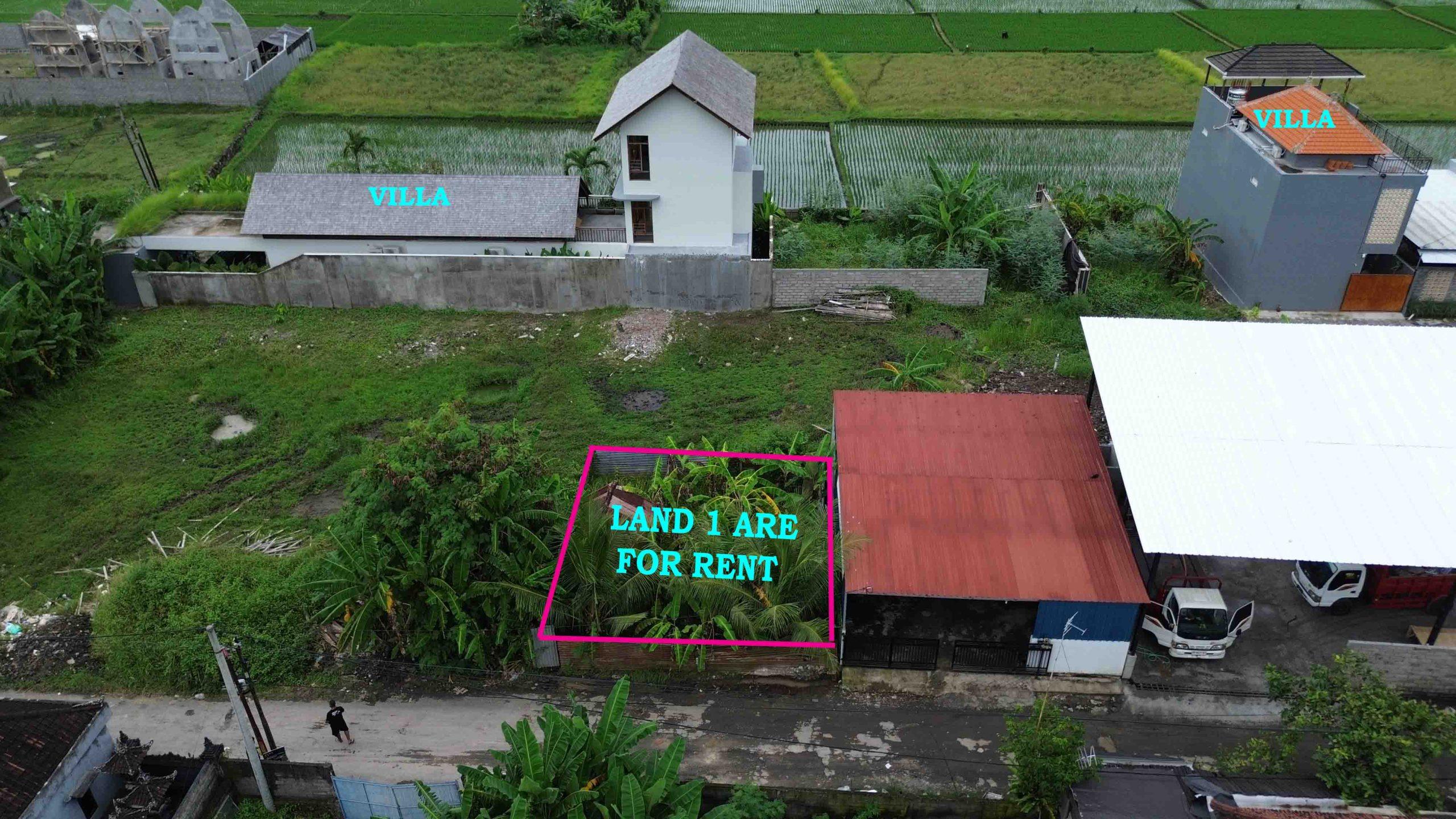 DCIM101MEDIADJI_0296.JPG